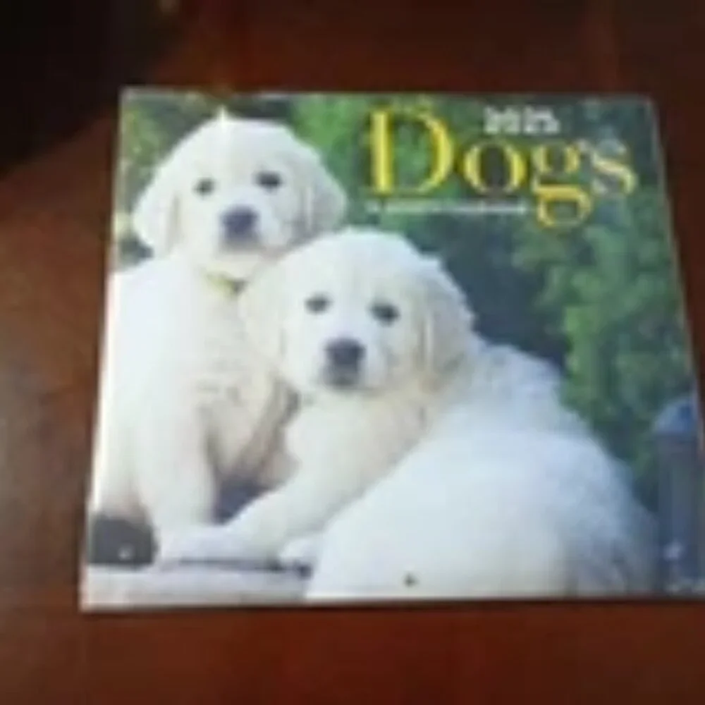 3 dog-themed calendars lot 2025 -2026 pocket planner 16-month 11x10